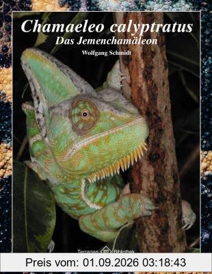 Chamaeleo calyptratus: Das Jemenchamäleon