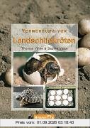 Vermehrung von Landschildkröten: Grundlagen, Anleitungen und Erfahrungen zur erfolgreichen Zucht