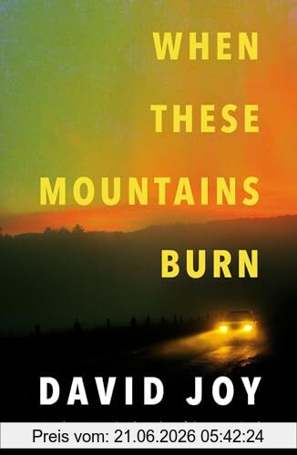 David Joy When These Mountains Burn