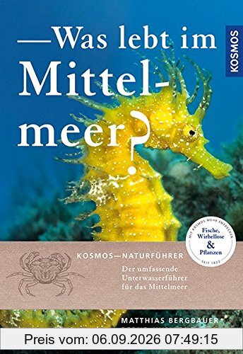 Was lebt im Mittelmeer?