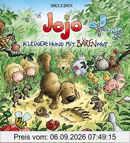 Jojo - Kleiner Hund mit Bärenmut