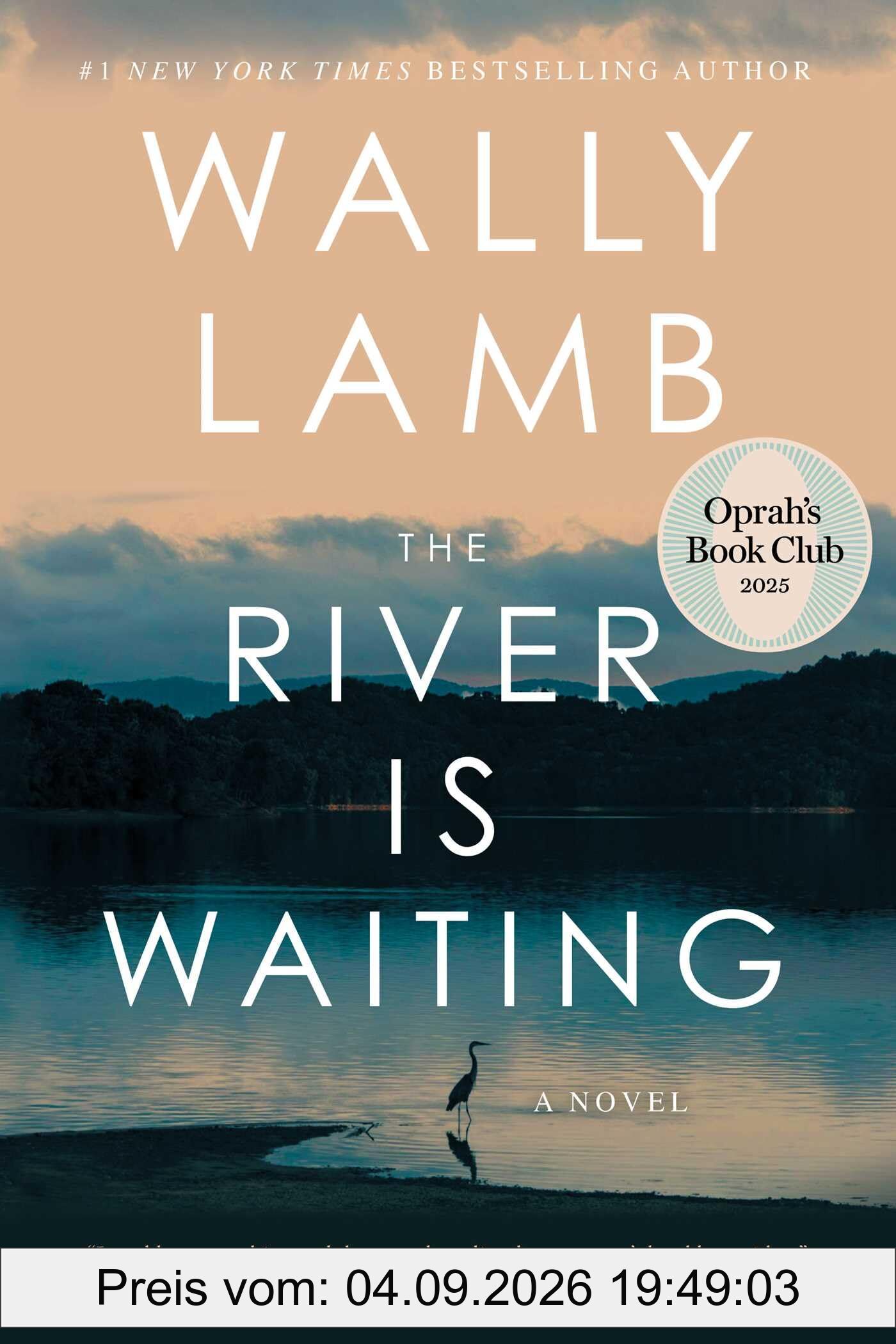 The River Is Waiting (Oprah's Book Club): A Novel