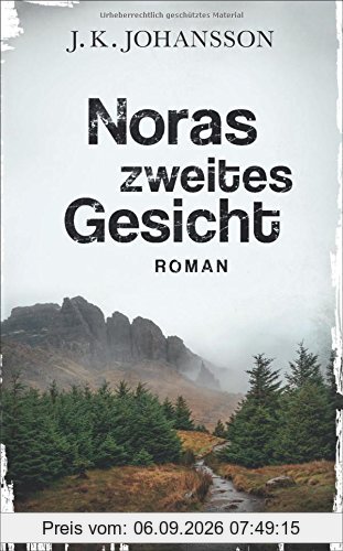 Noras zweites Gesicht: Roman (Palokaski-Trilogie)