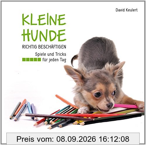Kleine Hunde richtig beschäftigen: Spiele und Tricks für jeden Tag