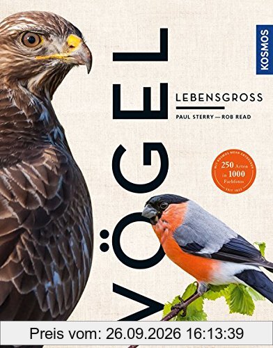 Vögel lebensgroß (Großformat)
