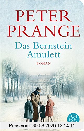 Das Bernstein-Amulett: Roman