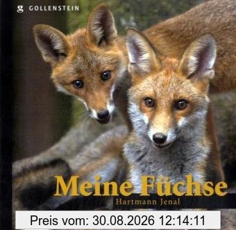 Meine Füchse: Bildband