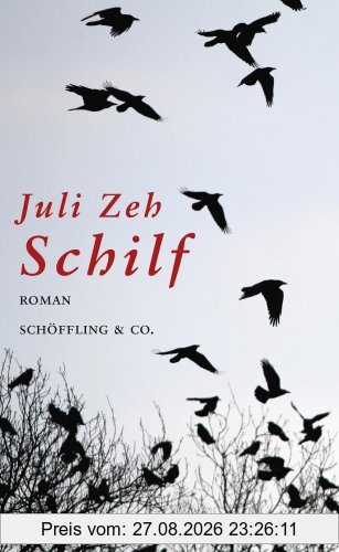 Schilf