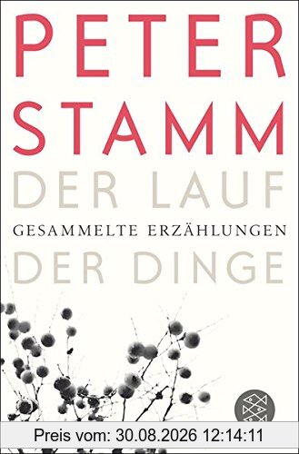 Der Lauf der Dinge: Gesammelte Erzählungen