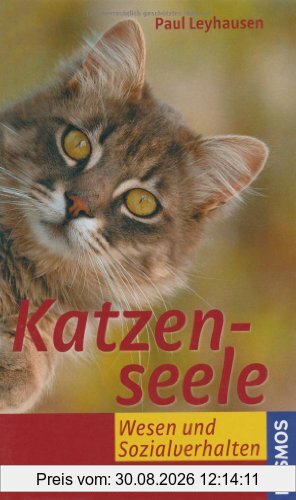 Katzenseele: Wesen und Sozialverhalten