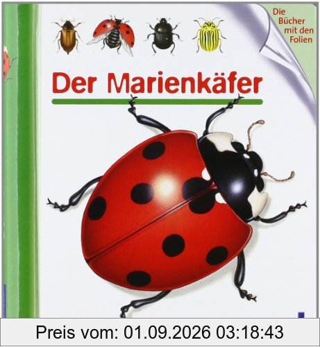 Der Marienkäfer