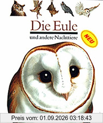 Die Eule und andere Nachttiere
