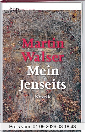 Mein Jenseits. Novelle