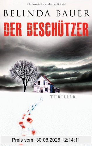 Der Beschützer: Psychothriller