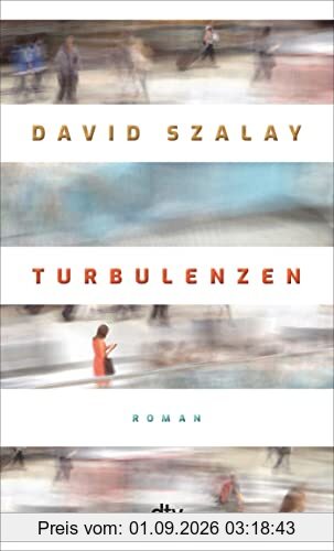Turbulenzen: Roman