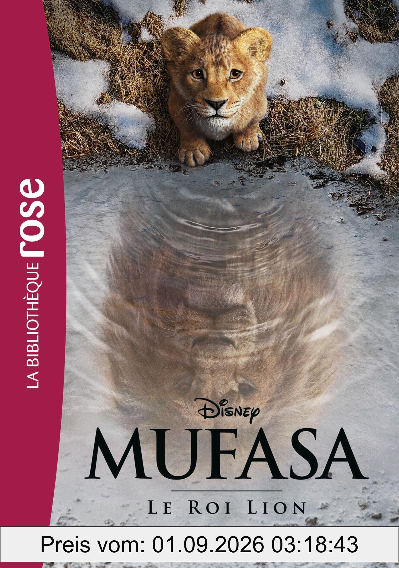 Mufasa : le roi lion : le roman du film