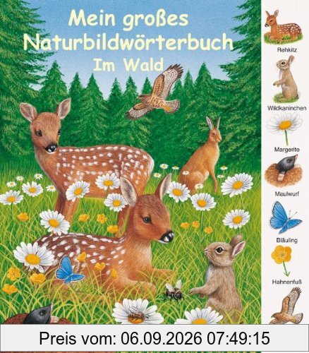 Mein großes Naturbildwörterbuch: Im Wald