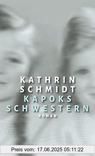Binding : Gebundene Ausgabe, Label : Kiepenheuer&Witsch, Publisher : Kiepenheuer&Witsch, medium : Gebundene Ausgabe, numberOfPages : 448, publicationDate : 2016-09-08, authors : Kathrin Schmidt, languages : german, ISBN : 3462049240