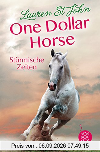 One Dollar Horse - Stürmische Zeiten