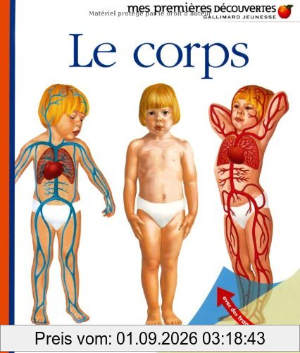 Le corps