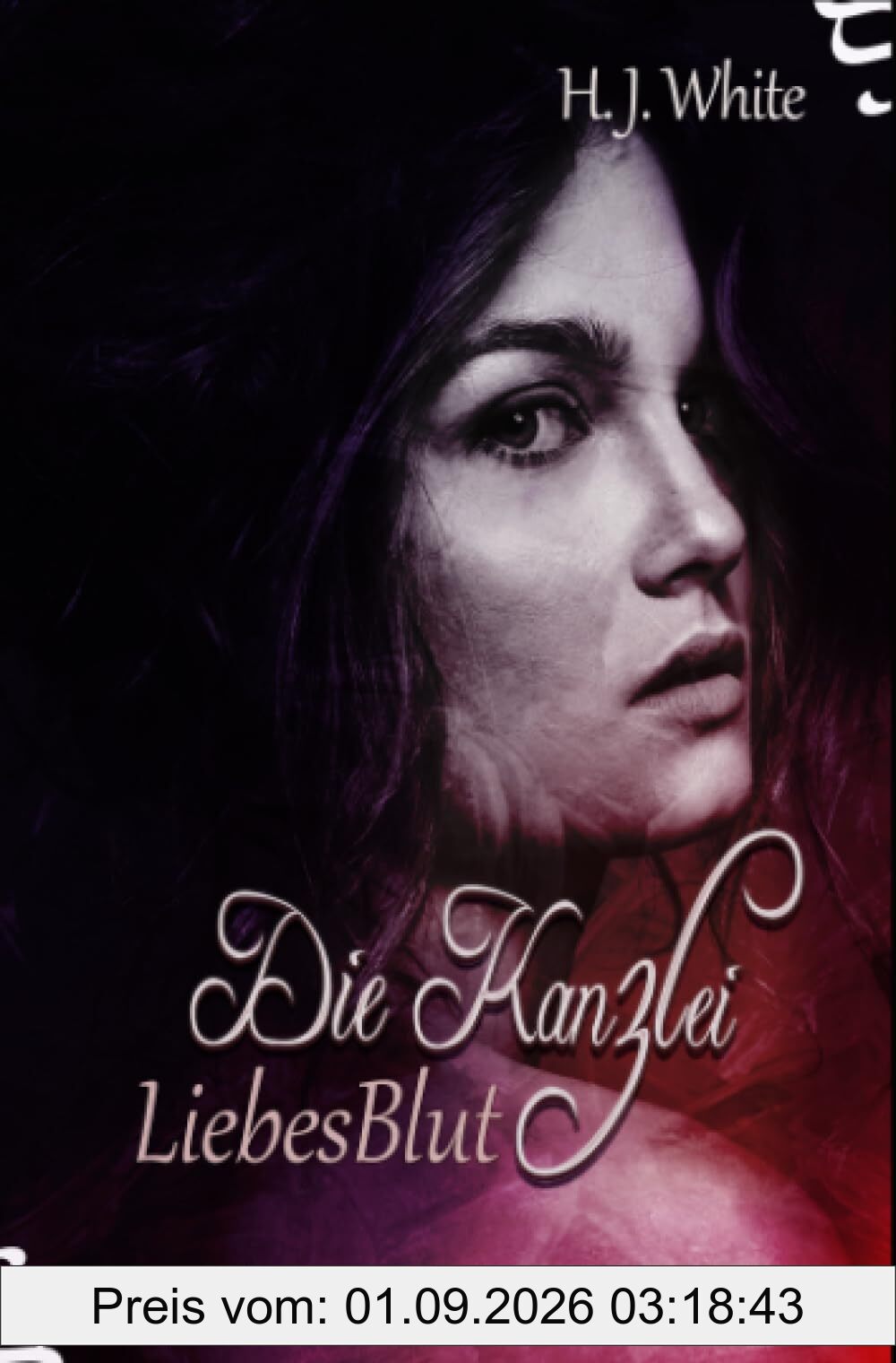 Die Kanzlei LiebesBlut: Vampirroman