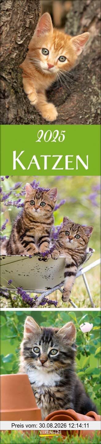 Katzen Langplaner 2025: Langplaner