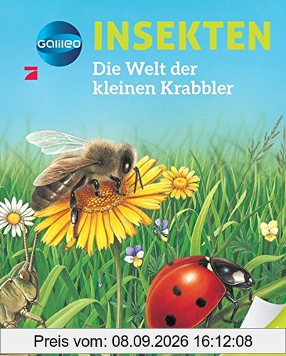 Galileo Wissen: Insekten: Die Welt der kleinen Krabbler