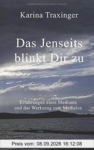 Das Jenseits blinkt Dir zu: Erfahrungen eines Mediums und das Werkzeug zum Medialen