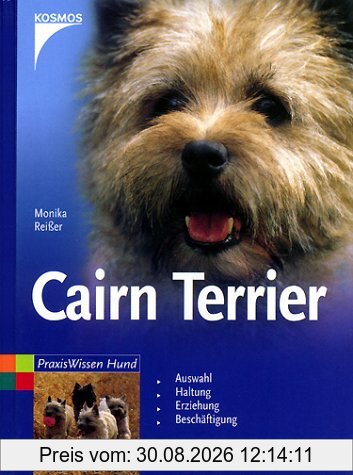 Cairn Terrier
