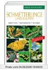 Schmetterlinge und Raupen