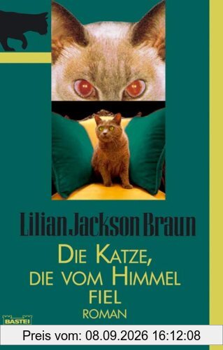 Die Katze, die vom Himmel fiel: Roman