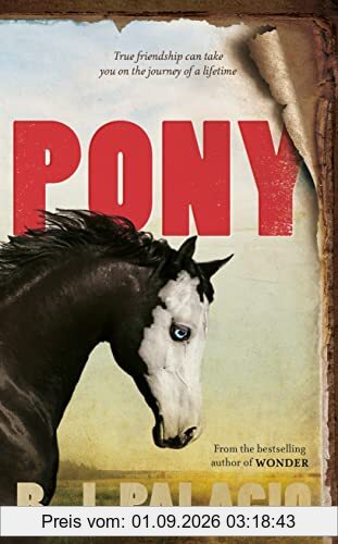 Pony: from the bestselling author of Wonder