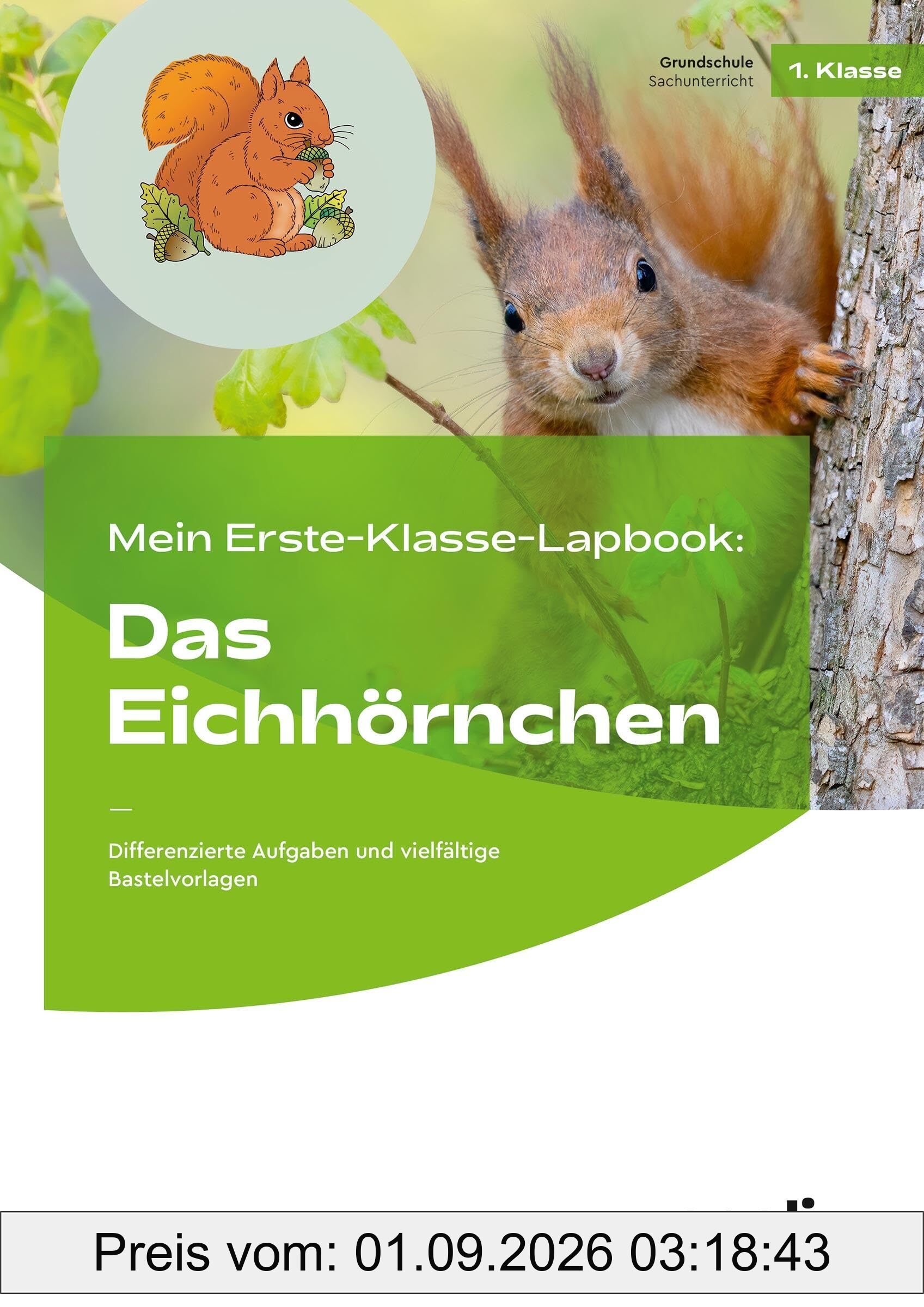 Mein Erste-Klasse-Lapbook: Das Eichhörnchen: Differenzierte Aufgaben und vielfältige Bastelvorlagen (Lernen mit Lapbooks - Grundschule)
