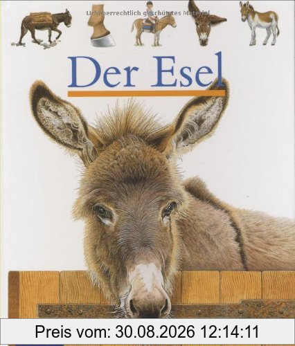 Der Esel