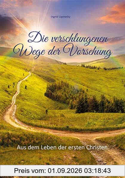Die verschlungenen Wege der Vorsehung: Aus dem Leben der ersten Christen (Wen Jesus berührt ...: Aus dem Leben der ersten Christen)