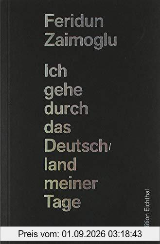 Ich gehe durch das Deutschland meiner Tage: 27 Erfahrungen in meinem Land