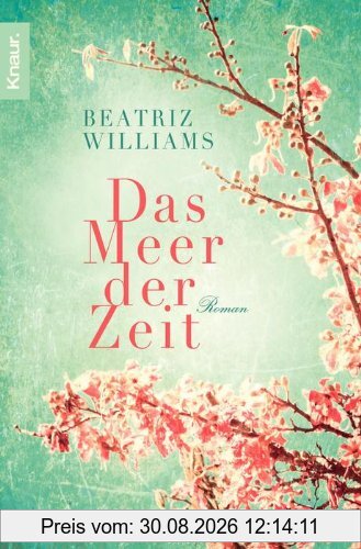 Das Meer der Zeit: Roman