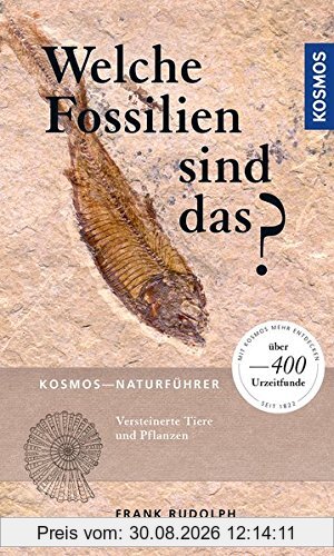 Welche Fossilien sind das?