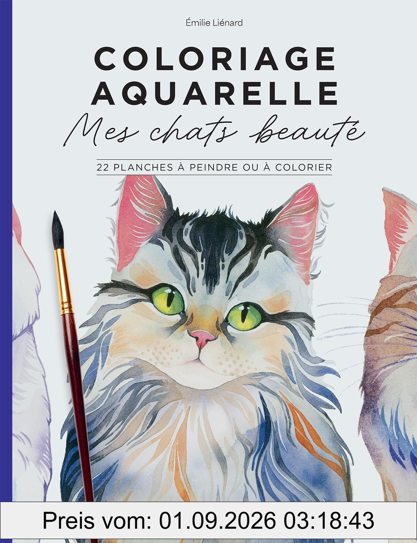 Mes chats beautés