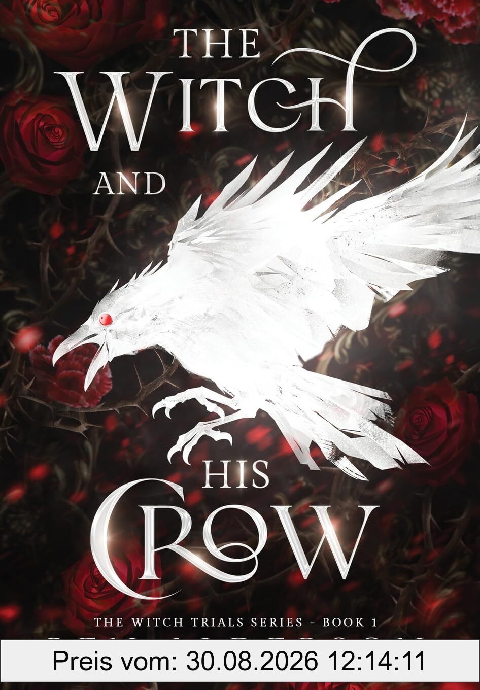 The Witch and His Crow