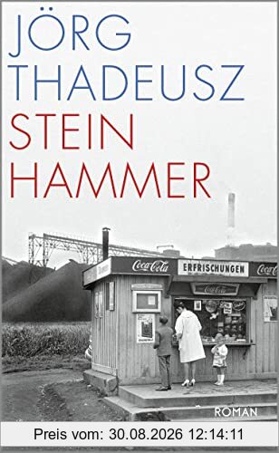 Steinhammer: Roman