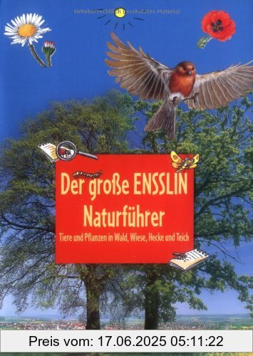 Brand : Arena Verlag, Binding : Broschiert, Edition : 1., Aufl., Label : Ensslin im Arena Verlag, Publisher : Ensslin im Arena Verlag, Feature : 135mm x 14mm x 190mm, medium : Broschiert, numberOfPages : 157, publicationDate : 2009-06-15, authors : Bärbel Oftring, languages : german, ISBN : 3401453904