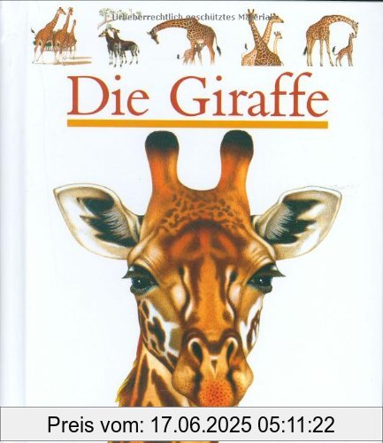 Binding : Gebundene Ausgabe, Edition : 1., Aufl., Label : Bibliographisches Institut, Mannheim, Publisher : Bibliographisches Institut, Mannheim, medium : Gebundene Ausgabe, numberOfPages : 24, publicationDate : 2006-02-16, authors : Jean-Philippe Chabot, Henri Galeron, languages : german, ISBN : 3411070625