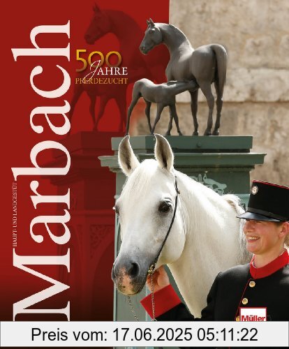 Binding : Gebundene Ausgabe, Edition : 1, Label : Müller Rüschlikon, Publisher : Müller Rüschlikon, medium : Gebundene Ausgabe, numberOfPages : 288, publicationDate : 2014-05-27, authors : Gabriele Boiselle, languages : german, ISBN : 3275019643