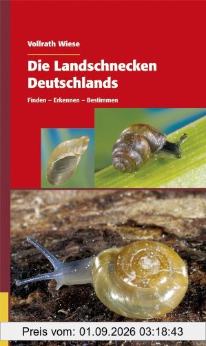 Die Landschnecken Deutschlands: Finden - Erkennen - Bestimmen