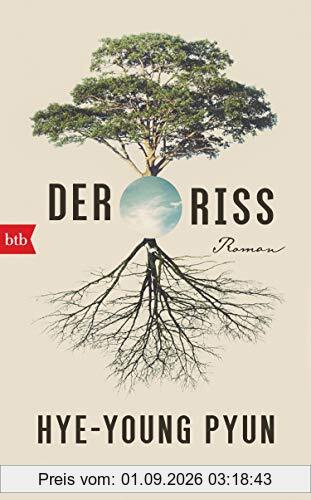 Der Riss: Roman