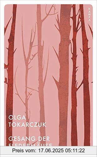 Binding : Taschenbuch, Edition : 1, Label : Kampa Verlag, Publisher : Kampa Verlag, medium : Taschenbuch, numberOfPages : 320, publicationDate : 2020-07-23, authors : Olga Tokarczuk, translators : Doreen Daume, ISBN : 3311150031