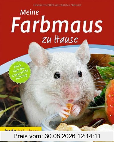 Meine Farbmaus zu Hause