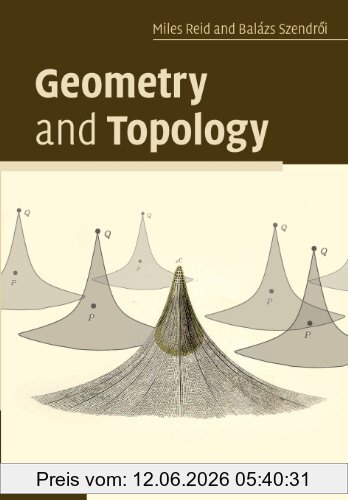 Miles Reid Geometry And Topology