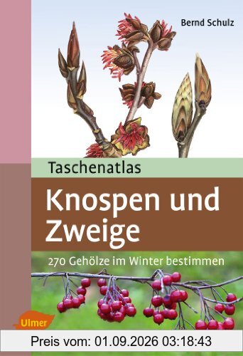 Taschenatlas Knospen und Zweige: 270 Gehölze im Winter bestimmen
